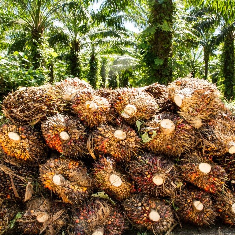 Dagex Consulting farm 10